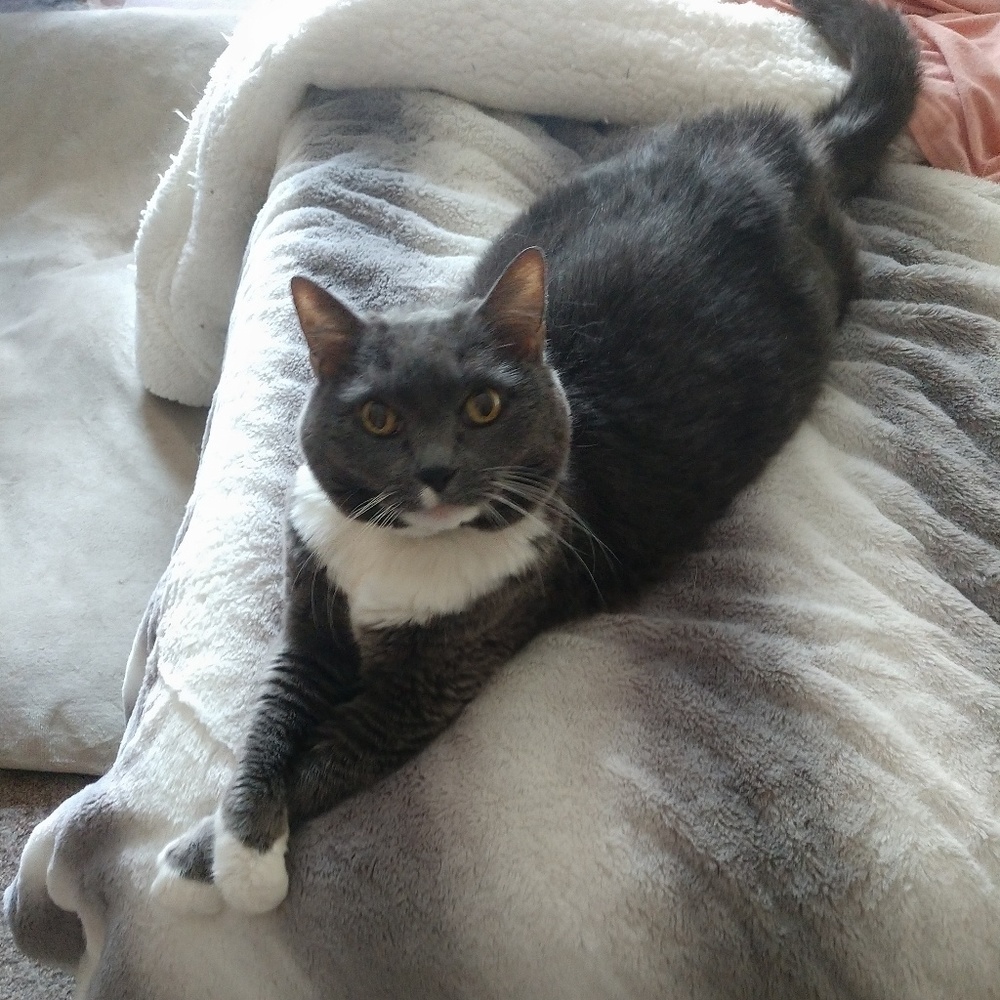 Meet your Posher, Angela